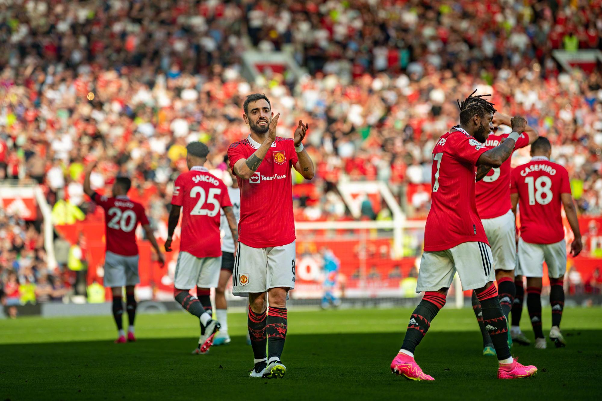 弗拉泰西引 弗拉泰西引