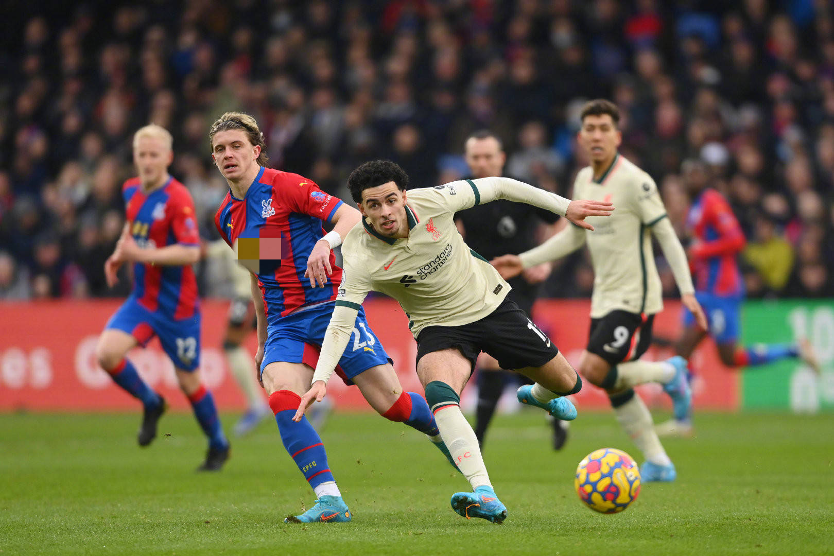 也印证了他 也印证了他